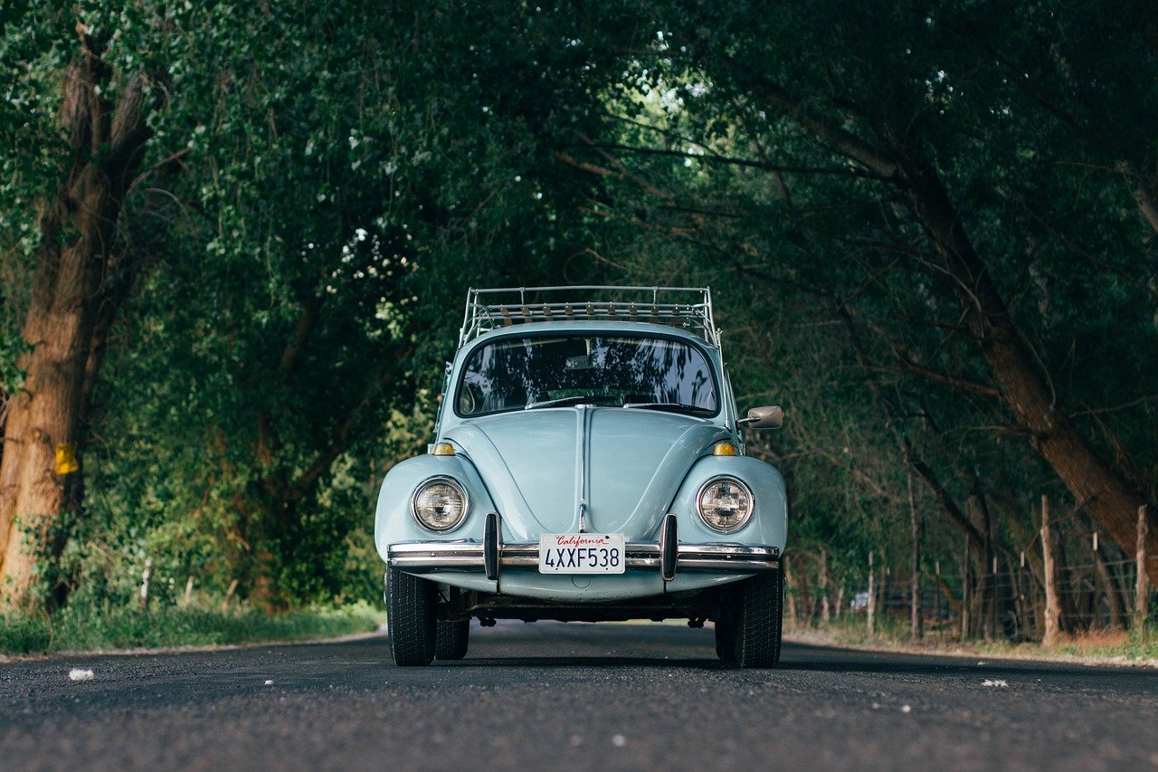 Voyage en voiture pour profiter de la vue et de la nature. 